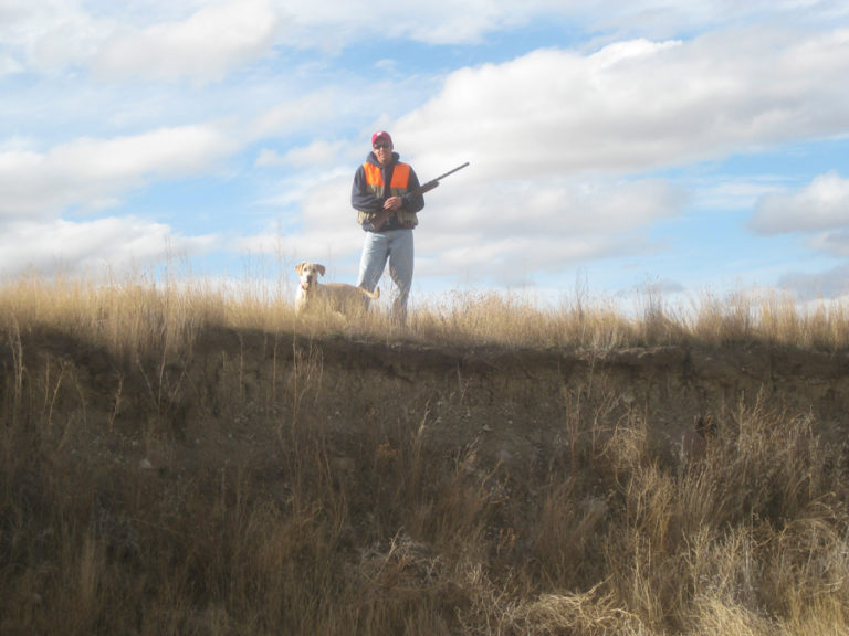 Wisconsin Ringnecked Pheasant Season Opens Oct. 19 MidWest Farm Report