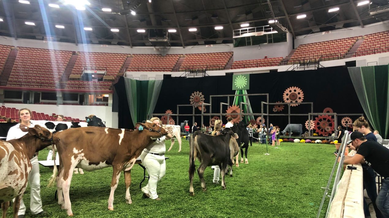 World Dairy Expo moves ahead with plans for 2020 Mid West Farm Report