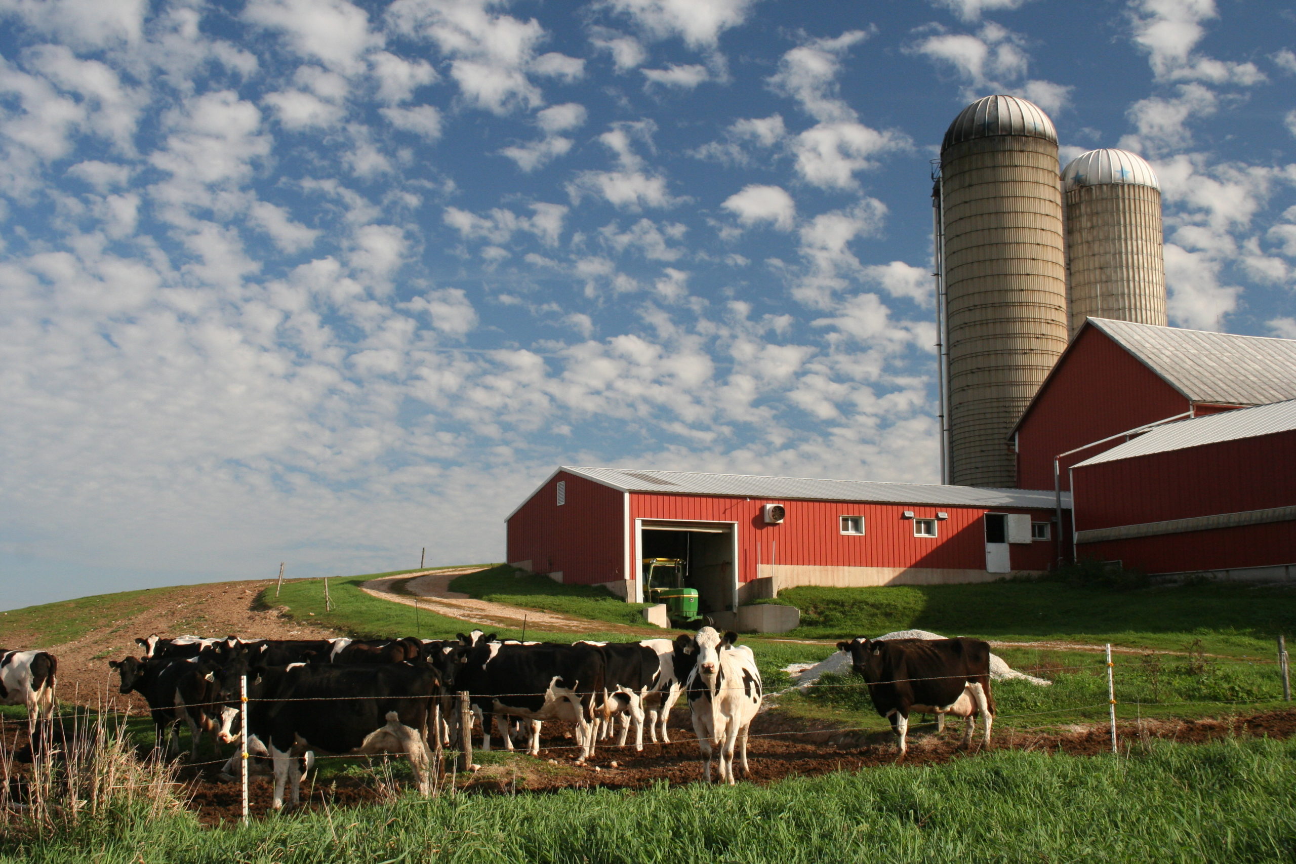 Висконсин молочная ферма Америки