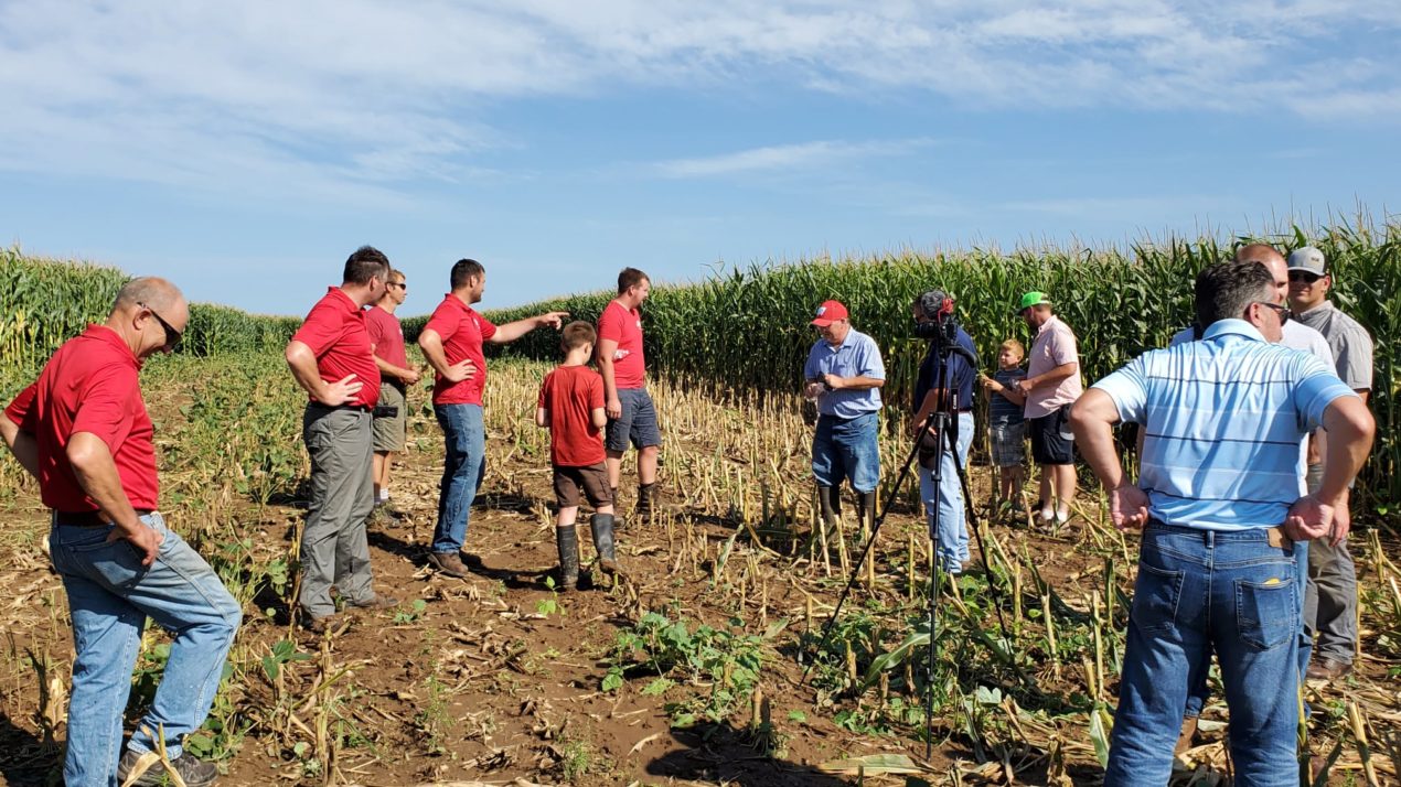 Sheboygan farmers dig into interseeding at field day MidWest Farm Report