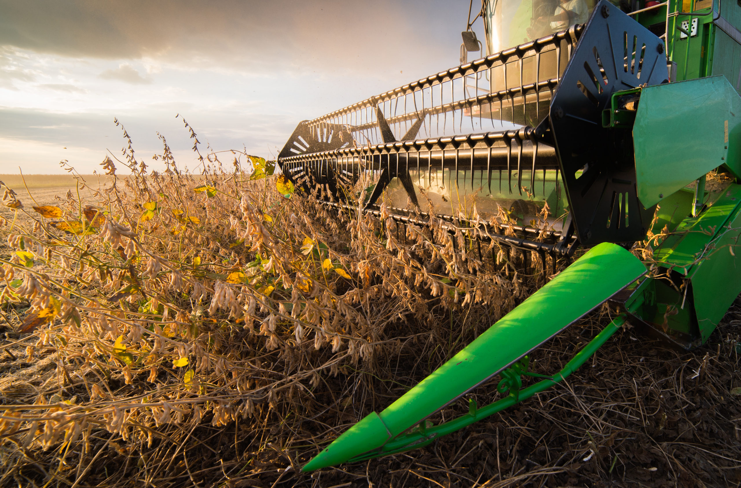 Soybean Harvest Moving at Rapid Pace MidWest Farm Report